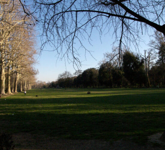 parco cascine firenze