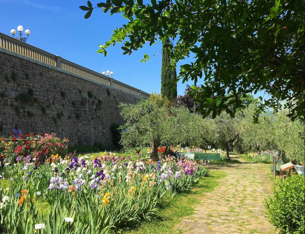Giardino dell’iris Firenze Giardino dell'iris Firenze