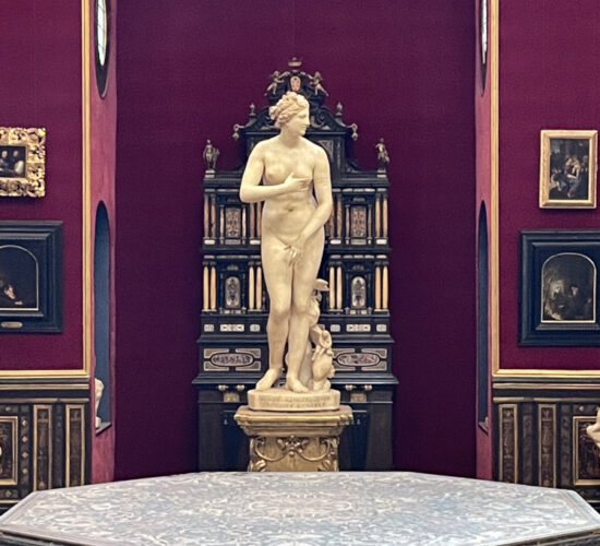 venere dei medici