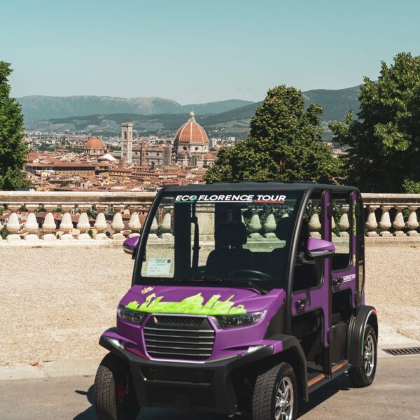 Eco Tour a Firenze centro e piazzale michelangelo Eco Tour a Firenze centro e piazzale michelangelo