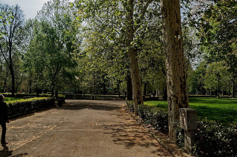Piazza_D'azeglio-giardino-Firenze-per-bambini.jpg